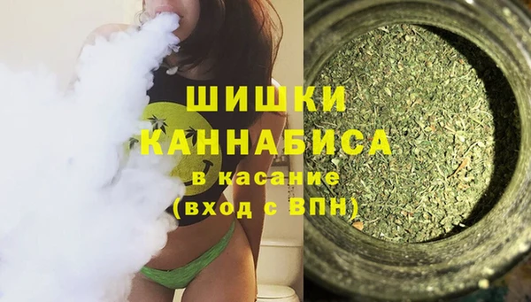 2c-b Тайга