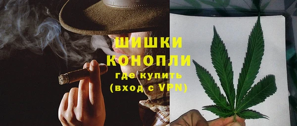 дмт Тавда