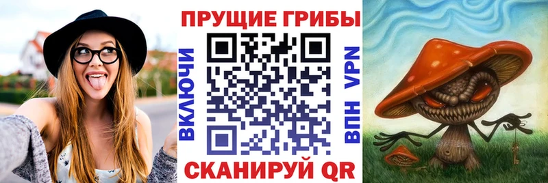 мориарти официальный сайт  blacksprut tor  Луза  Галлюциногенные грибы Magic Shrooms 